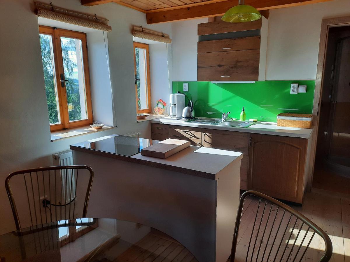 Novohradsky Raj Aneb Oaza Klidu Na Samote U Lesa Apartment Benesov nad Cernou