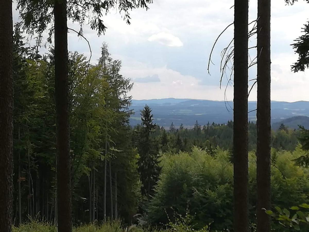 Apartment Novohradsky Raj Aneb Oaza Klidu Na Samote U Lesa Benesov nad Cernou